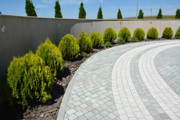 Best Driveway Repair Near Me  in North Arlington, NJ